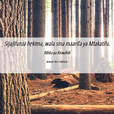 Picture 06 - Mithali 30:3 SWHULB - Sijajifunza hekima, wala sina maarifa ya - Bible Verse Picture