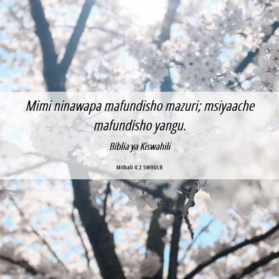 Picture 06 - Mithali 4:2 SWHULB - Mimi ninawapa mafundisho mazuri; msiyaache - Bible Verse Picture