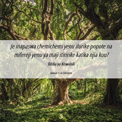 Picture 06 - Mithali 5:16 SWHULB - Je inapaswa chemichemi yenu ifurike popote na - Bible Verse Picture