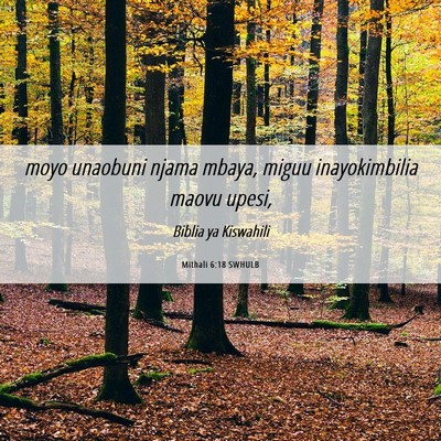 Picture 06 - Mithali 6:18 SWHULB - moyo unaobuni njama mbaya, miguu inayokimbilia - Bible Verse Picture