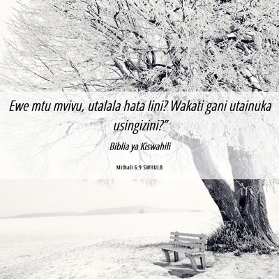 Picture 06 - Mithali 6:9 SWHULB - Ewe mtu mvivu, utalala hata lini? Wakati gani - Bible Verse Picture