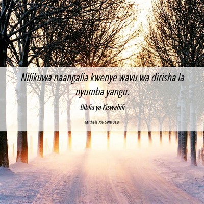Picture 06 - Mithali 7:6 SWHULB - Nilikuwa naangalia kwenye wavu wa dirisha la - Bible Verse Picture