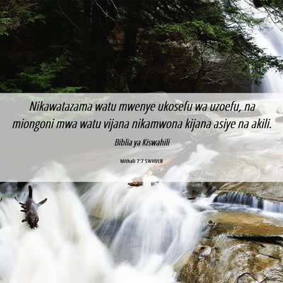 Picture 06 - Mithali 7:7 SWHULB - Nikawatazama watu mwenye ukosefu wa uzoefu, na - Bible Verse Picture