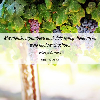 Picture 06 - Mithali 9:13 SWHULB - Mwanamke mpumbavu anakelele nyingi- hajafunzwa - Bible Verse Picture