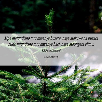 Picture 06 - Mithali 9:9 SWHULB - Mpe mafundisho mtu mwenye busara, naye atakuwa na - Bible Verse Picture