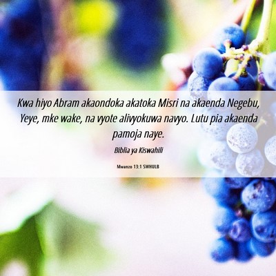 Picture 06 - Mwanzo 13:1 SWHULB - Kwa hiyo Abram akaondoka akatoka Misri na akaenda - Bible Verse Picture