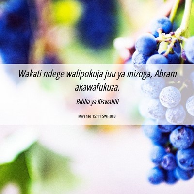 Picture 06 - Mwanzo 15:11 SWHULB - Wakati ndege walipokuja juu ya mizoga, Abram - Bible Verse Picture
