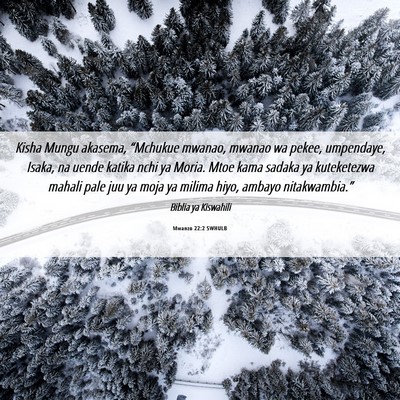 Picture 06 - Mwanzo 22:2 SWHULB - Kisha Mungu akasema, “Mchukue mwanao, mwanao wa - Bible Verse Picture