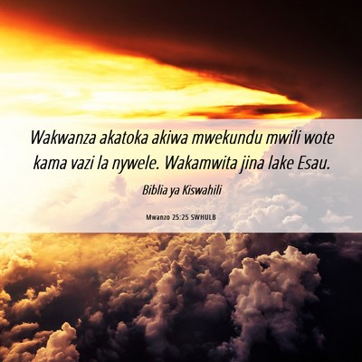 Picture 06 - Mwanzo 25:25 SWHULB - Wakwanza akatoka akiwa mwekundu mwili wote kama - Bible Verse Picture