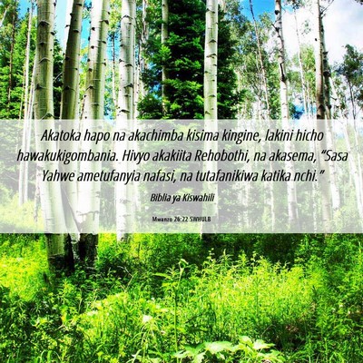 Picture 06 - Mwanzo 26:22 SWHULB - Akatoka hapo na akachimba kisima kingine, lakini - Bible Verse Picture