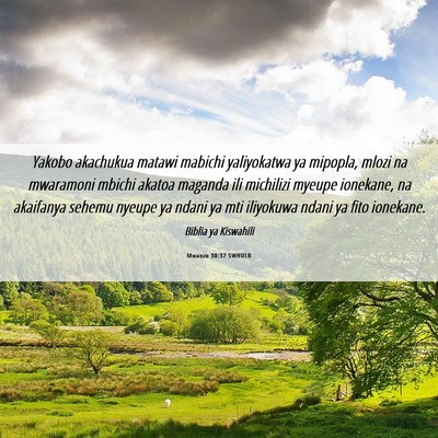 Picture 06 - Mwanzo 30:37 SWHULB - Yakobo akachukua matawi mabichi yaliyokatwa ya - Bible Verse Picture
