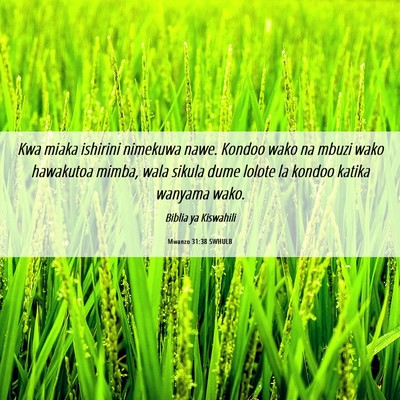 Picture 06 - Mwanzo 31:38 SWHULB - Kwa miaka ishirini nimekuwa nawe. Kondoo wako na - Bible Verse Picture