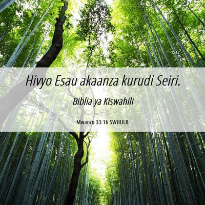 Picture 06 - Mwanzo 33:16 SWHULB - Hivyo Esau akaanza kurudi - Bible Verse Picture