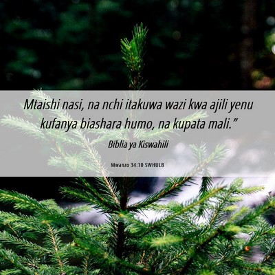 Picture 06 - Mwanzo 34:10 SWHULB - Mtaishi nasi, na nchi itakuwa wazi kwa ajili yenu - Bible Verse Picture