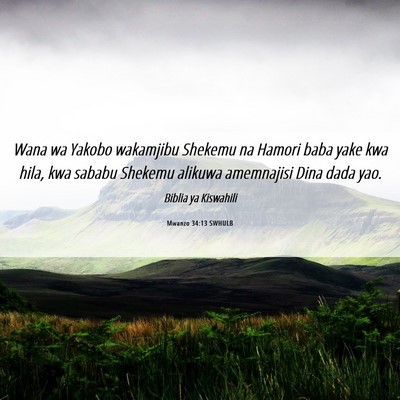 Picture 06 - Mwanzo 34:13 SWHULB - Wana wa Yakobo wakamjibu Shekemu na Hamori baba - Bible Verse Picture