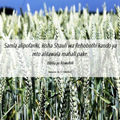 Picture 06 - Mwanzo 36:37 SWHULB - Samla alipofariki, kisha Shauli wa Rehobothi - Bible Verse Picture
