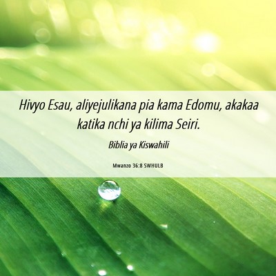 Picture 06 - Mwanzo 36:8 SWHULB - Hivyo Esau, aliyejulikana pia kama Edomu, akakaa - Bible Verse Picture