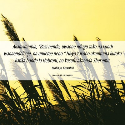 Picture 06 - Mwanzo 37:14 SWHULB - Akamwambia, “Basi nenda, uwaone ndugu zako na - Bible Verse Picture