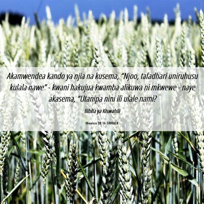 Picture 06 - Mwanzo 38:16 SWHULB - Akamwendea kando ya njia na kusema, “Njoo, - Bible Verse Picture