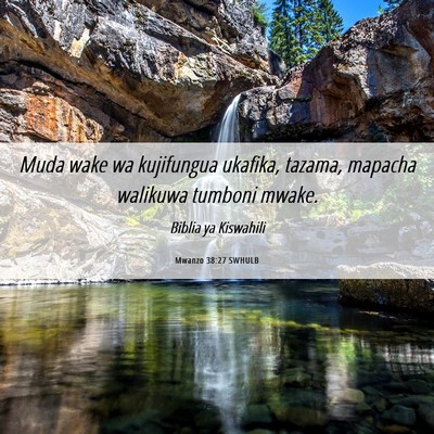 Picture 06 - Mwanzo 38:27 SWHULB - Muda wake wa kujifungua ukafika, tazama, mapacha - Bible Verse Picture