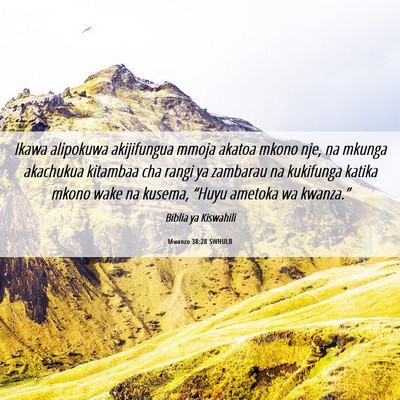 Picture 06 - Mwanzo 38:28 SWHULB - Ikawa alipokuwa akijifungua mmoja akatoa mkono - Bible Verse Picture
