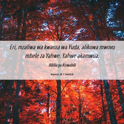 Picture 06 - Mwanzo 38:7 SWHULB - Eri, mzaliwa wa kwanza wa Yuda, alikuwa mwovu - Bible Verse Picture