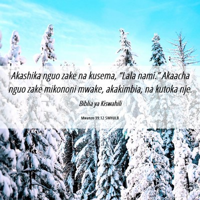 Picture 06 - Mwanzo 39:12 SWHULB - Akashika nguo zake na kusema, “Lala nami.” - Bible Verse Picture