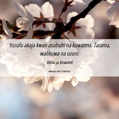 Picture 06 - Mwanzo 40:6 SWHULB - Yusufu akaja kwao asubuhi na kuwaona. Tazama, - Bible Verse Picture