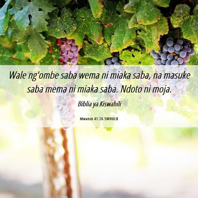 Picture 06 - Mwanzo 41:26 SWHULB - Wale ng'ombe saba wema ni miaka saba, na masuke - Bible Verse Picture