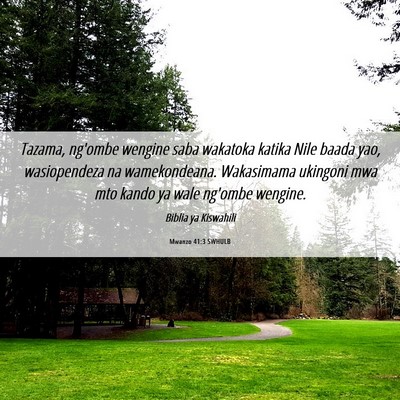 Picture 06 - Mwanzo 41:3 SWHULB - Tazama, ng'ombe wengine saba wakatoka katika Nile - Bible Verse Picture
