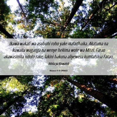 Picture 06 - Mwanzo 41:8 SWHULB - Ikawa wakati wa asubuhi roho yake ikafadhaika. - Bible Verse Picture