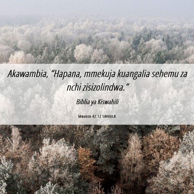 Picture 06 - Mwanzo 42:12 SWHULB - Akawambia, “Hapana, mmekuja kuangalia sehemu za - Bible Verse Picture