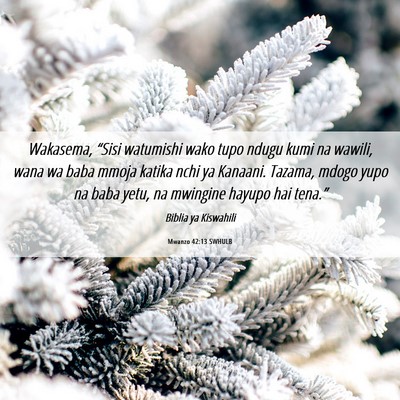 Picture 06 - Mwanzo 42:13 SWHULB - Wakasema, “Sisi watumishi wako tupo ndugu kumi - Bible Verse Picture