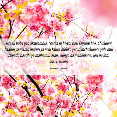 Picture 06 - Mwanzo 43:11 SWHULB - Israeli baba yao akawambia, “Kama ni hivyo, - Bible Verse Picture