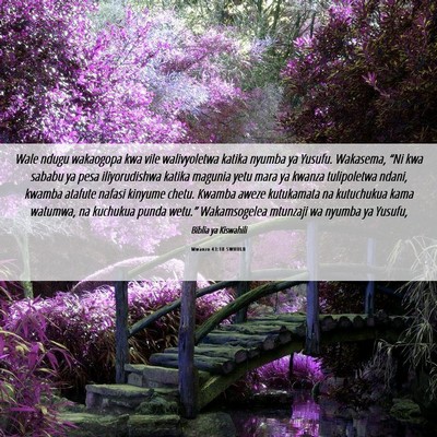 Picture 06 - Mwanzo 43:18 SWHULB - Wale ndugu wakaogopa kwa vile walivyoletwa katika - Bible Verse Picture