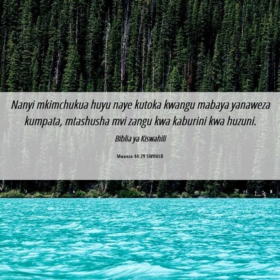 Picture 06 - Mwanzo 44:29 SWHULB - Nanyi mkimchukua huyu naye kutoka kwangu mabaya - Bible Verse Picture