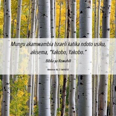 Picture 06 - Mwanzo 46:2 SWHULB - Mungu akamwambia Israeli katika ndoto usiku, - Bible Verse Picture