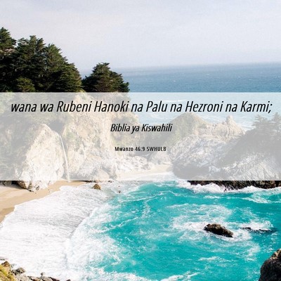 Picture 06 - Mwanzo 46:9 SWHULB - wana wa Rubeni Hanoki na Palu na Hezroni na - Bible Verse Picture