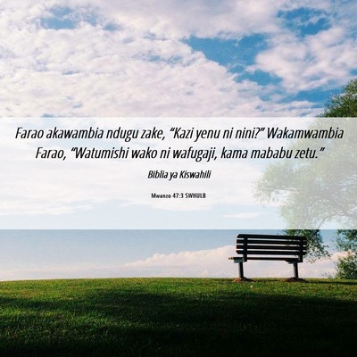 Picture 06 - Mwanzo 47:3 SWHULB - Farao akawambia ndugu zake, “Kazi yenu ni - Bible Verse Picture