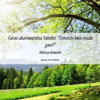 Picture 06 - Mwanzo 47:8 SWHULB - Farao akamwambia Yakobo, “Umeishi kwa muda - Bible Verse Picture