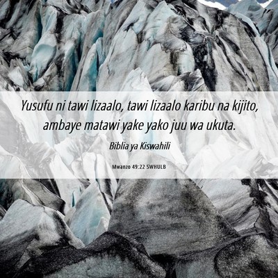 Picture 06 - Mwanzo 49:22 SWHULB - Yusufu ni tawi lizaalo, tawi lizaalo karibu na - Bible Verse Picture