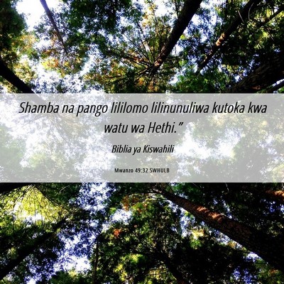 Picture 06 - Mwanzo 49:32 SWHULB - Shamba na pango lililomo lilinunuliwa kutoka kwa - Bible Verse Picture