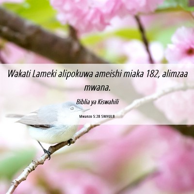 Picture 06 - Mwanzo 5:28 SWHULB - Wakati Lameki alipokuwa ameishi miaka 182, - Bible Verse Picture