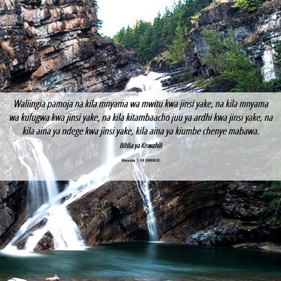 Picture 06 - Mwanzo 7:14 SWHULB - Waliingia pamoja na kila mnyama wa mwitu kwa - Bible Verse Picture