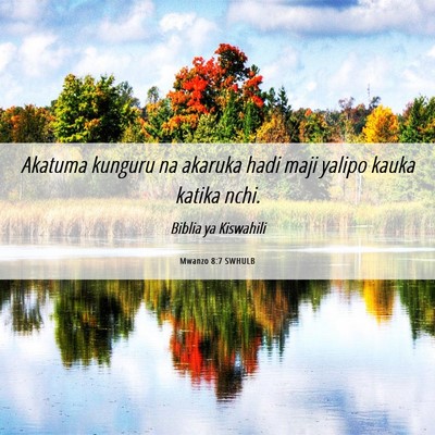 Picture 06 - Mwanzo 8:7 SWHULB - Akatuma kunguru na akaruka hadi maji yalipo kauka - Bible Verse Picture