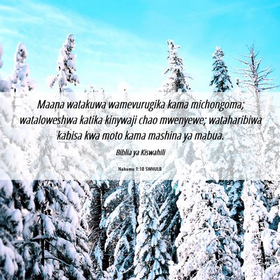 Picture 06 - Nahumu 1:10 SWHULB - Maana watakuwa wamevurugika kama michongoma; - Bible Verse Picture