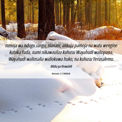 Picture 06 - Nehemia 1:2 SWHULB - mmoja wa ndugu zangu, Hanani, alikuja pamoja na - Bible Verse Picture