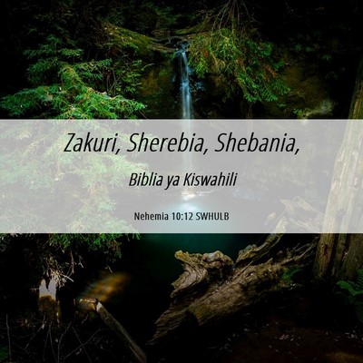 Picture 06 - Nehemia 10:12 SWHULB - Zakuri, Sherebia, - Bible Verse Picture