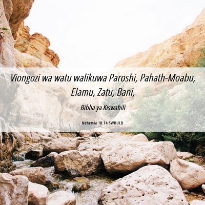 Picture 06 - Nehemia 10:14 SWHULB - Viongozi wa watu walikuwa Paroshi, Pahath-Moabu, - Bible Verse Picture