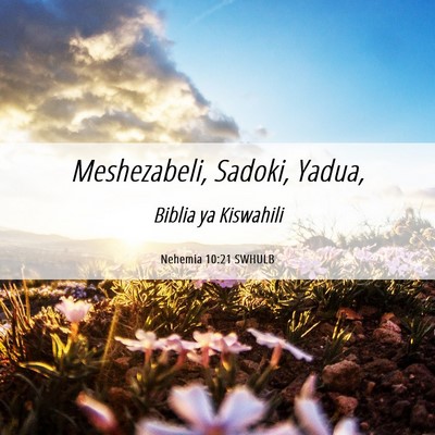 Picture 06 - Nehemia 10:21 SWHULB - Meshezabeli, Sadoki, - Bible Verse Picture